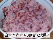 ���_�򖳉��w�엿���R�͔|�ԕ�